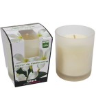 Scented Candle with Frosted Glass Jasmine - White 85x70mm