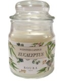 Scented Candles in Jar - Eucaliptus