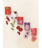 Scented Candle in Glass Cherry Blossom -  Red 85x70cm