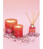 Scented Candle in Glass Cherry Blossom -  Red 100x100cm