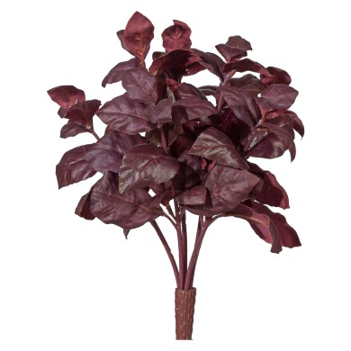 Decorative Basil Bush - Purple 28cm