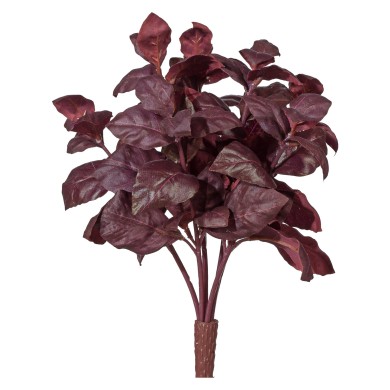 Decorative Basil Bush - Purple 28cm