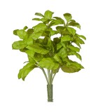 Decorative Basil Bush - Green 28cm