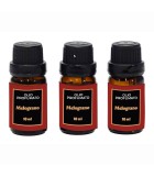 Fragrance Oil Set - 10ml - 4 Designs Fragrance Oil Set - 10ml - 4 Designs