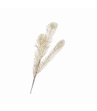 Decorative Peacock Feather - Light Gold 73cm Decorative Peacock Feather - Light Gold 73cm