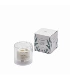 Αρωματικό κερί σε ποτηράκι - Black Cedar - 8xΥ7,5εκ