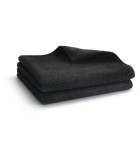 Microfiber Cloth Set (2 Pieces) Napoleon - 22 × 22cm