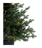 Christmas PE Pot Tree - Green Spruce - 70 LED - H100/D70cm - 100 Tips Christmas PE Pot Tree - Green Spruce - 70 LED - H100/D70cm - 100 Tips