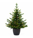 Christmas PE Pot Tree - Green Spruce - 70 LED - H100/D70cm - 100 Tips Christmas PE Pot Tree - Green Spruce - 70 LED - H100/D70cm - 100 Tips