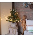 Christmas PE Pot Tree - Green Spruce - 70 LED - H100/D70cm - 100 Tips Christmas PE Pot Tree - Green Spruce - 70 LED - H100/D70cm - 100 Tips