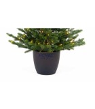 Christmas PE Pot Tree - Green Spruce - 100 LED - H120/D73cm - 192 Tips Christmas PE Pot Tree - Green Spruce - 100 LED - H120/D73cm - 192 Tips