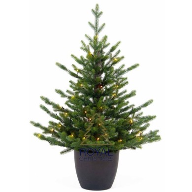 Christmas PE Pot Tree - Green Spruce - 100 LED - H120/D73cm - 192 Tips Christmas PE Pot Tree - Green Spruce - 100 LED - H120/D73cm - 192 Tips