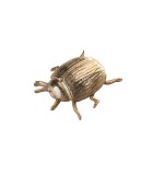 Decorative Insects - Beetle - Gold (6 designs)