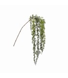 Decorative Hanging Branch - Thuja - Green - H140m