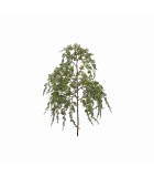 Decorative Branch - Thuja - Green - H80m