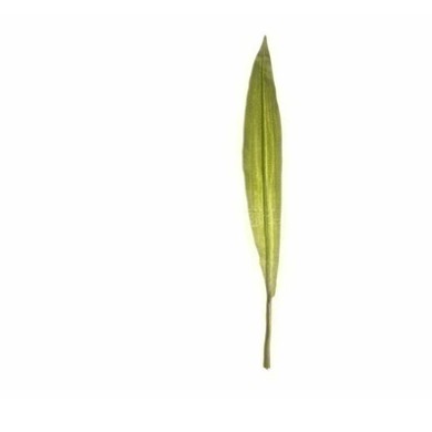 Artificial Leaf - Tropical - 108cm