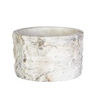 Flower Pot Birch - Cement White 10x10x10cm Flower Pot Birch - Cement White 10x10x10cm