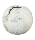 Flower Pot Birch - Cement White 40cm