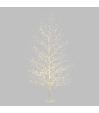 Φωτιζόμενο δέντρο κλαδιών - Tilia - Ζεστό Λευκό/Λευκά Κλαδιά