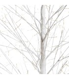 Φωτιζόμενο δέντρο κλαδιών - Tilia - Ζεστό Λευκό/Λευκά Κλαδιά