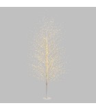 Φωτιζόμενο δέντρο κλαδιών - Tilia - Ζεστό Λευκό/Λευκά Κλαδιά