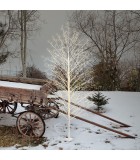 Φωτιζόμενο δέντρο κλαδιών - Tilia - Ζεστό Λευκό/Λευκά Κλαδιά