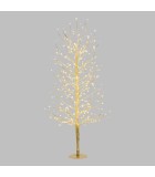 Φωτιζομενο δεντρο κλαδιων - Tiglio - Θερμο Λευκο/Λευκο LED φωτακια/Σαμπανιζε
