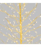 Φωτιζομενο δεντρο κλαδιων - Tiglio - Θερμο Λευκο/Λευκο LED φωτακια/Σαμπανιζε