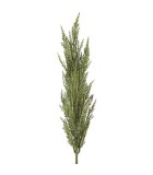 Decorative Pampas Stem - Green - 5x8x93cm
