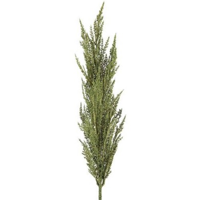 Decorative Pampas Stem - Green - 5x8x93cm