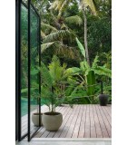 Flower Pot - Sfera Sabbia - Cement - D37xH32CM