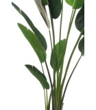 Artificial Plant in Pot - Bird of Paradise - Green - H210cm