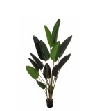 Artificial Plant in Pot - Bird of Paradise - Green - H180cm