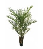 Artificial Plant in Pot - Phoenix Palm - Green - H210cm