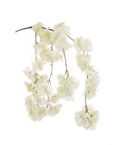 Artificial Flower - Hanging Cherry Blossom - White