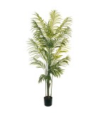 Artificial Plant in Pot - Phoenix Palm - Green - H170cm