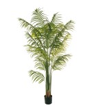 Artificial Plant in Pot - Phoenix Palm - Green - H210cm