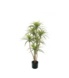 Artificial Plant - Dracaena Reflex - Green - H120cm