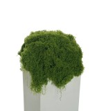 Artificial Moss - Green - 30gr