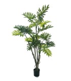 Artificial Plant in Pot  - Philodendron  Selloum - Green - H210cm