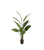 Artificial Plant - Bird of Paradise - Green - H160cm