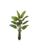 Artificial Plant - Bird of Paradise - Green - H180cm
