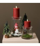 Δίσκος Deco Mosschijf Marchantiophyta - Πράσινο - 2x14x14CM Δίσκος Deco Mosschijf Marchantiophyta - Πράσινο - 2x14x14CM