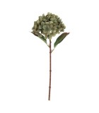 Artificial Hydrangea Stem - Green - 14x14x40cm