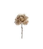 Decorative Flower – Rosa - Crème - H15CM