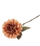 Artificial Dahlia Flower - Light Brown - 13x13x57cm