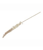 Artificial Flower Eremurus Vivaldi -Crème - 4x8x109CM Artificial Flower Eremurus Vivaldi -Crème - 4x8x109CM