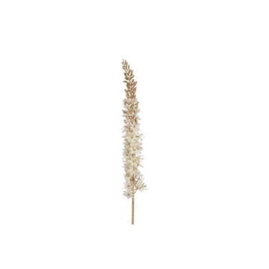 Artificial Flower Eremurus Vivaldi -Crème - 4x8x109CM Artificial Flower Eremurus Vivaldi -Crème - 4x8x109CM
