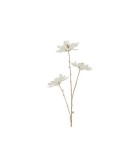 Artificial Flower Magnolia Vivaldi -Crème - 9x19x81CM Artificial Flower Magnolia Vivaldi -Crème - 9x19x81CM