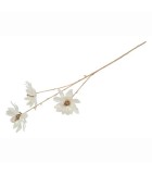 Artificial Flower Magnolia Vivaldi -Crème - 9x19x81CM Artificial Flower Magnolia Vivaldi -Crème - 9x19x81CM